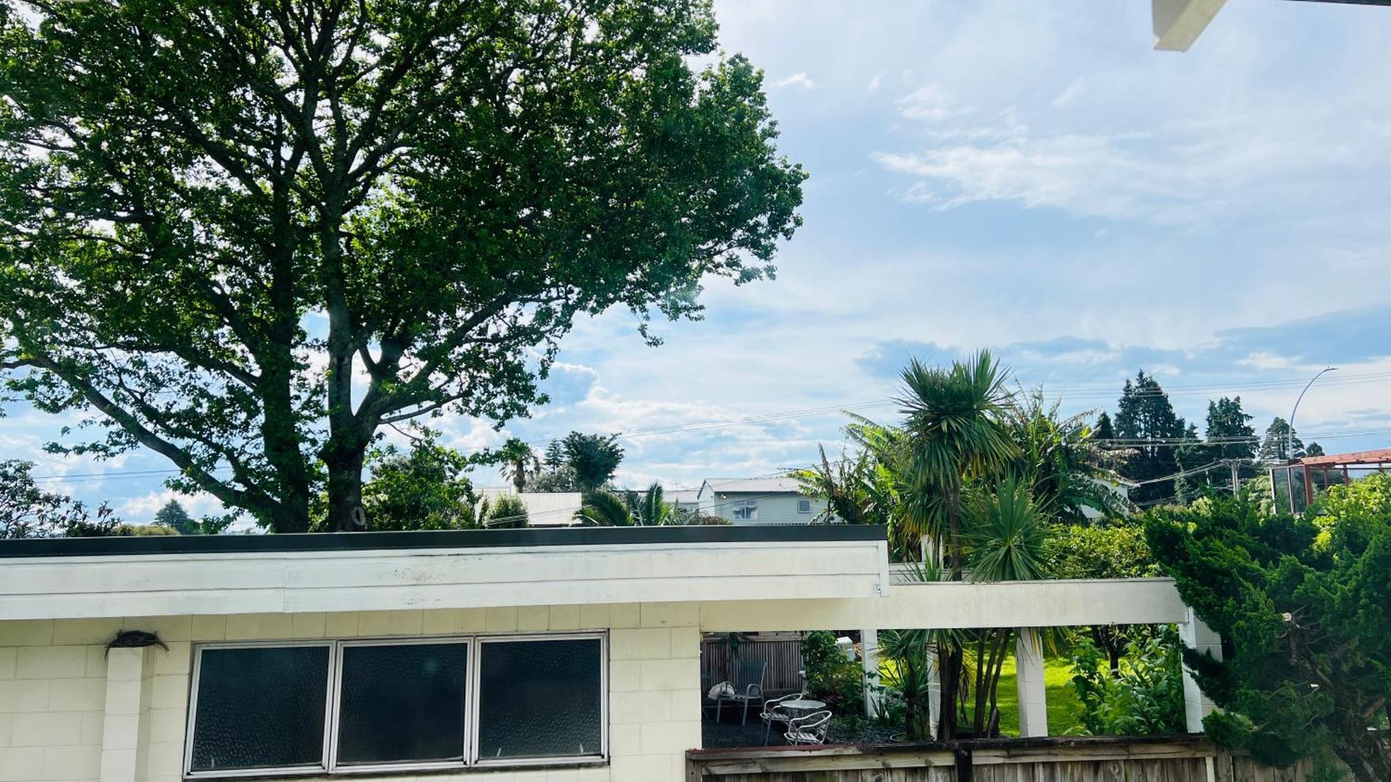 18Th Avenue Thermal Motel Tauranga Bagian luar foto